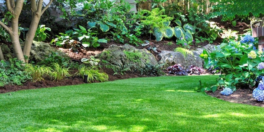 Landscape Contractors in Mount Diablo