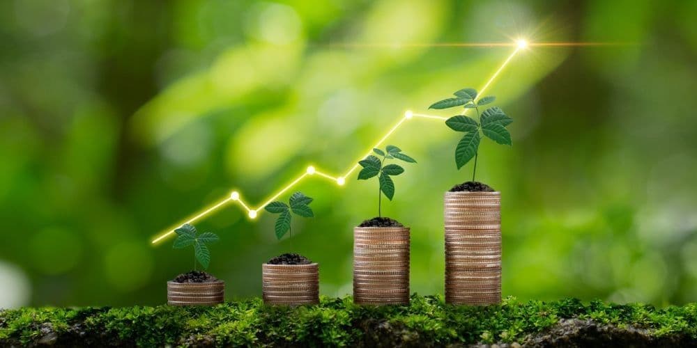 Finance & Insurance Services in Mount Diablo